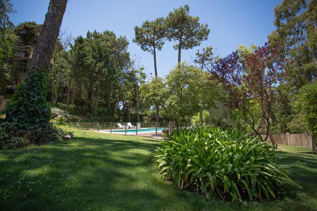 Posada Del Bosque By Hs Carilo Exteriér fotografie