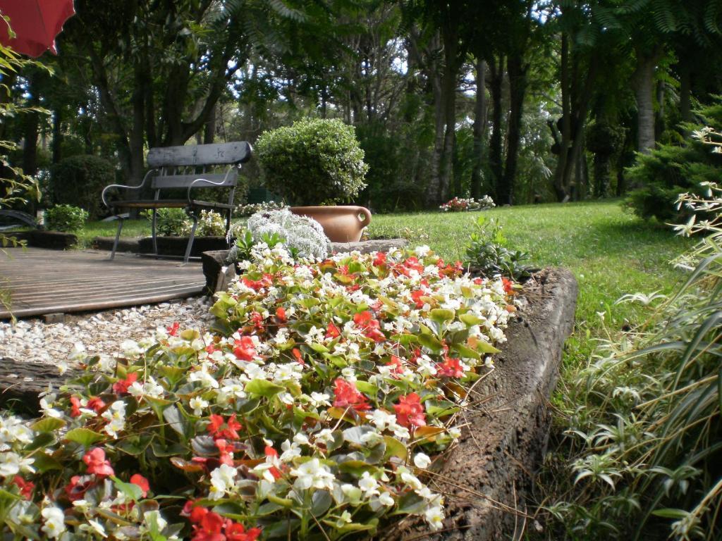 Posada Del Bosque By Hs Carilo Exteriér fotografie